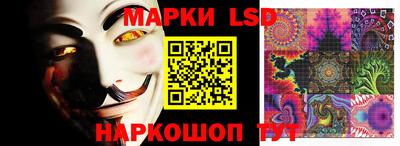 шишки Бузулук