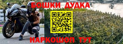 шишки Бузулук