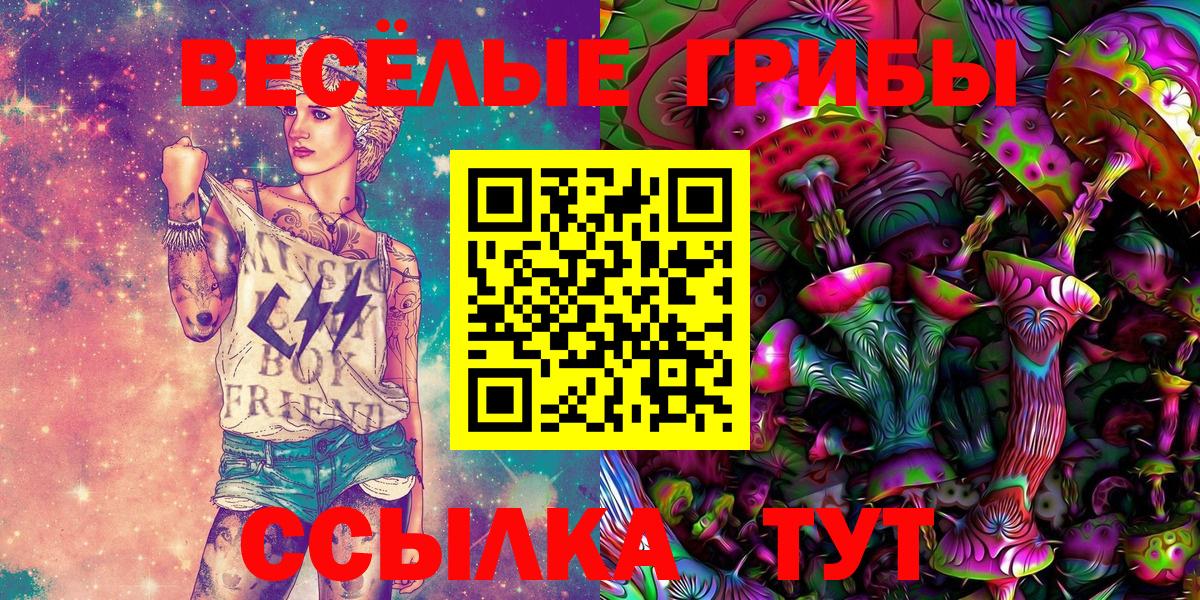 Псилоцибиновые грибы Psilocybine cubensis Томск