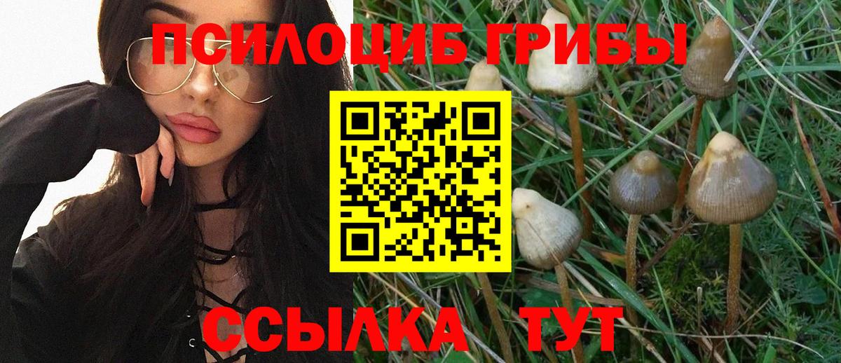Галлюциногенные грибы Psilocybine cubensis  Вход с VPN  Томск 